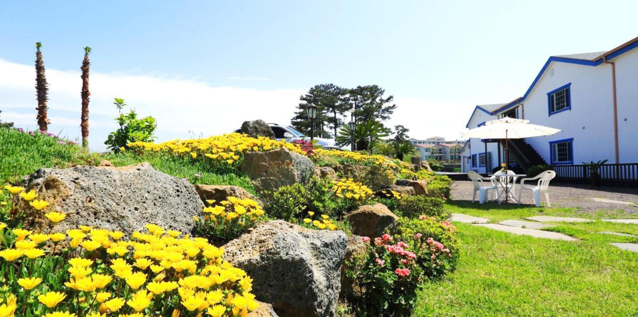 White Dream Pension Jeju Dış mekan fotoğraf