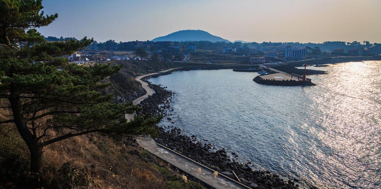 White Dream Pension Jeju Dış mekan fotoğraf