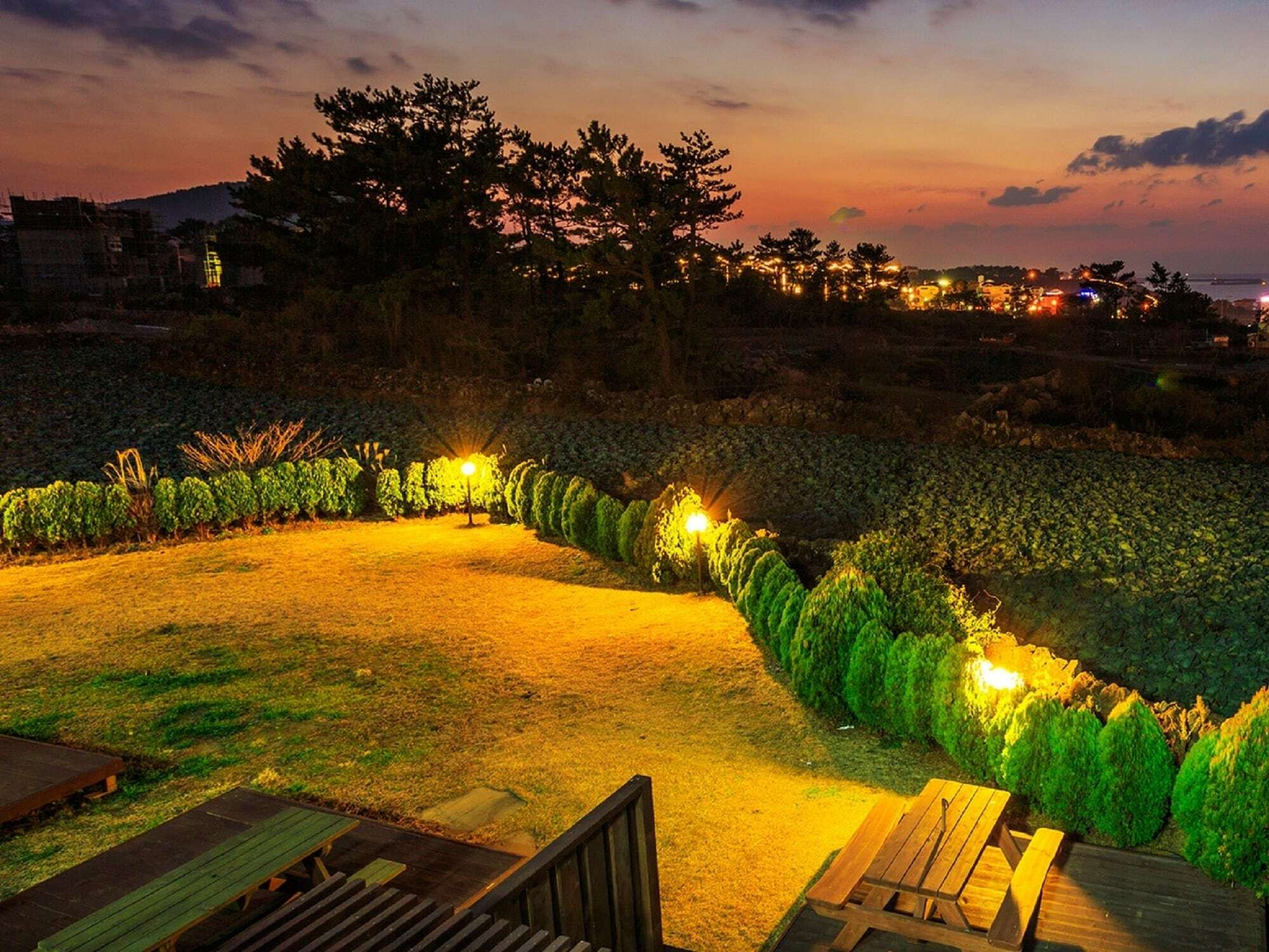 White Dream Pension Jeju Dış mekan fotoğraf